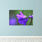 Bluebell bloem in Independence Pass in Canvas Afdruk (Insitu (Houten vloer))