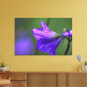 Bluebell bloem in Independence Pass in Canvas Afdruk (Insitu (Woonkamer))
