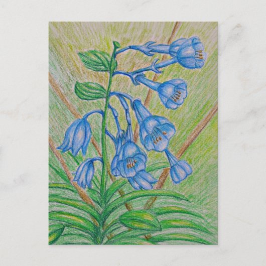 BlueBell-bloemen Briefkaart (Voorkant)