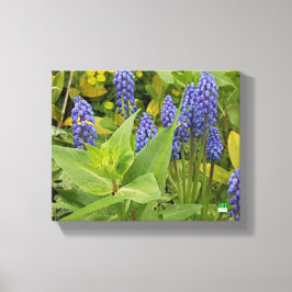 Bluebell Bloemen Kunst Fotoprint op Canvas