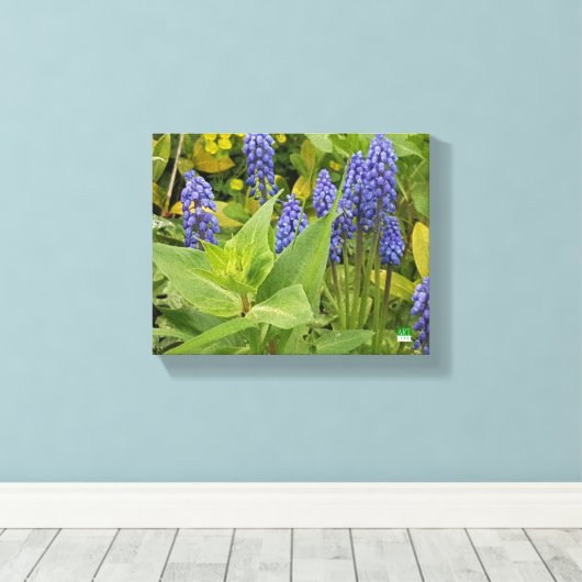 Bluebell Bloemen Kunst Fotoprint op Canvas (Insitu (Houten vloer))