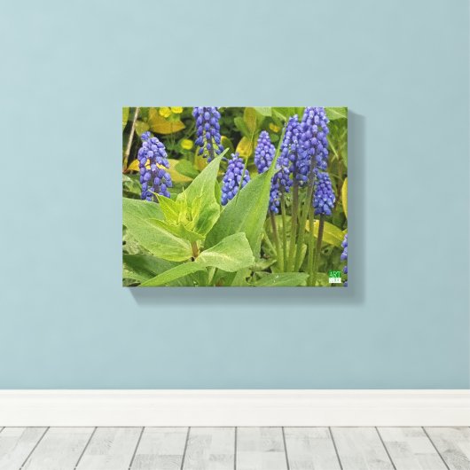 Bluebell Bloemen Kunst Fotoprint op Canvas (Insitu (Houten vloer))