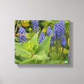 Bluebell Bloemen Kunst Fotoprint op Canvas (Voorkant)