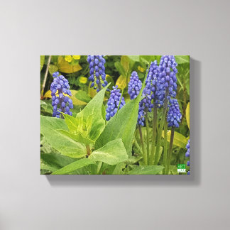 Bluebell Bloemen Kunst Fotoprint op Canvas