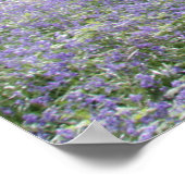 Bluebell Bos II Poster (Hoek)