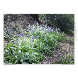 Bluebell Bossen Card met 3 foto's