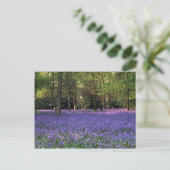 Bluebell Bossen, Engeland Briefkaart (Staand voorkant)