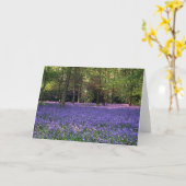 Bluebell Bossen, Engeland Kaart (Gele Bloem)