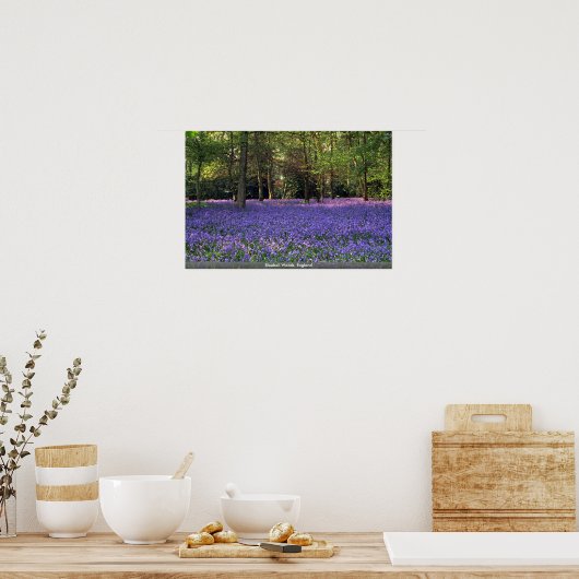Bluebell Bossen, Engeland Poster (Keuken)