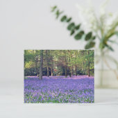 Bluebell Bossen, Engelstalige bloemen Briefkaart (Staand voorkant)