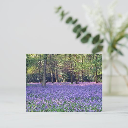 Bluebell Bossen, Engelstalige bloemen Briefkaart (Staand voorkant)