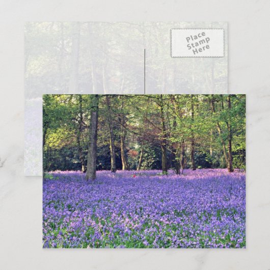 Bluebell Bossen, Engelstalige bloemen Briefkaart (Voorkant / Achterkant)