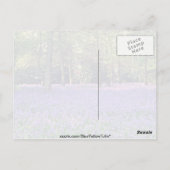 Bluebell Bossen, Engelstalige bloemen Briefkaart (Achterkant)