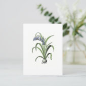 Bluebell Briefkaart (Staand voorkant)