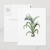 Bluebell Briefkaart (Voorkant / Achterkant)