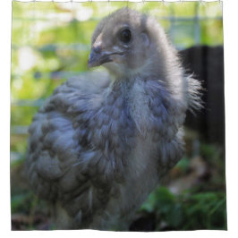 Bluebell Douchegordijn