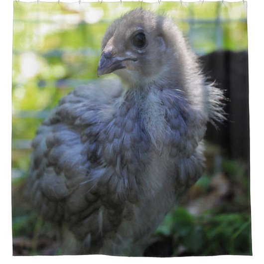 Bluebell Douchegordijn (Voorkant)