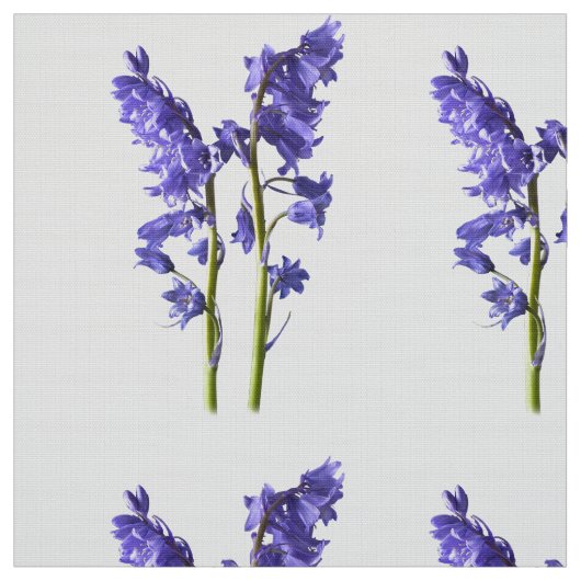 Bluebell Fabric Pattern. Stof (Swatch)