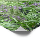 Bluebell Fairy in Spring Woodland Poster (Hoek)