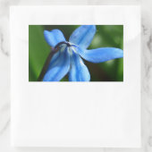 Bluebell Flower Rechthoekige Sticker (Tas)