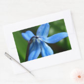 Bluebell Flower Rechthoekige Sticker (Envelop)