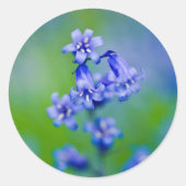 Bluebell flower sticker (Voorkant)