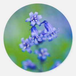 Bluebell flower sticker