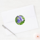Bluebell Flowers - Sticker (Envelop)