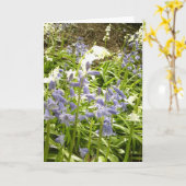 Bluebell Foto's / details 2 - Voorjaar 2016 Kaart (Gele Bloem)