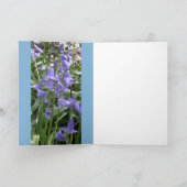 Bluebell Foto's / details - Kaart voorjaar 2016 (Binnen)