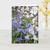 Bluebell Foto's / details - Kaart voorjaar 2016 (Gele Bloem)