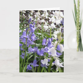 Bluebell Foto's / details - Kaart voorjaar 2016