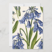 Bluebell (Harebell) Botanical Pattern Invitation Kaart (Achterkant)