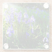 Bluebell-onderzetter Glazen Onderzetter (Achterkant)