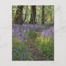 Bluebell Path Briefkaart