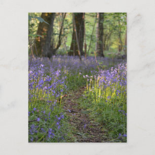 Bluebell Path Briefkaart