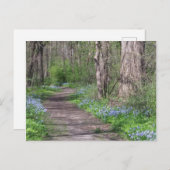 Bluebell Path Briefkaart (Voorkant / Achterkant)