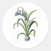 Bluebell Ronde Sticker (Voorkant)