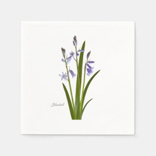 Bluebell Servet