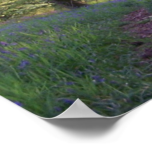 Bluebell Walk Poster (Hoek)