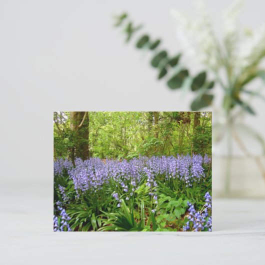 BLUEBELL WOOD ~ BRIEFKAART (Staand voorkant)