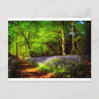 Bluebell wood briefkaart