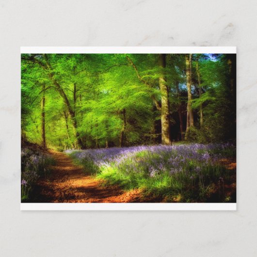 Bluebell wood briefkaart (Voorkant)