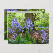 BLUEBELL WOOD ~ Briefkaart # 3 (Voorkant / Achterkant)