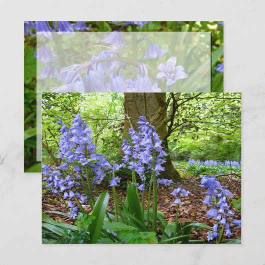 BLUEBELL WOOD ~ Briefkaart # 3 (Voorkant / Achterkant)
