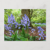BLUEBELL WOOD ~ Briefkaart # 3 (Voorkant)