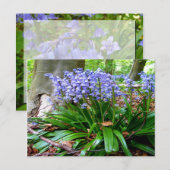 BLUEBELL WOOD ~ Briefkaart # 5 (Voorkant / Achterkant)