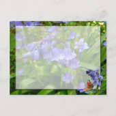 BLUEBELL WOOD ~ Briefkaart # 5 (Achterkant)