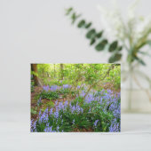 BLUEBELL WOOD ~ Briefkaart ~ 5 (Staand voorkant)