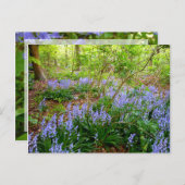 BLUEBELL WOOD ~ Briefkaart ~ 5 (Voorkant / Achterkant)